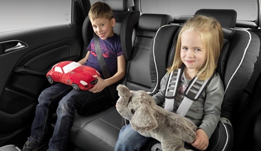 Car seat limousine service